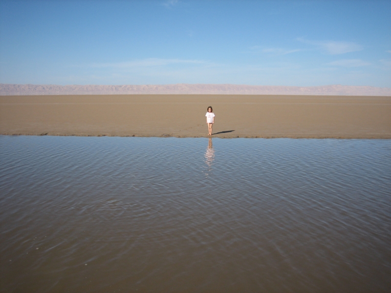 Chott el Djerid nach Regen